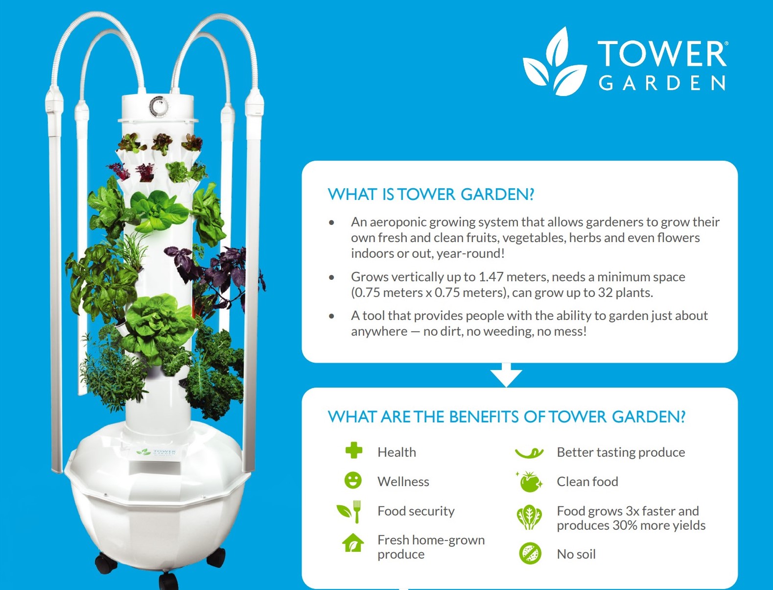 inforgraphic about a Tower Garden