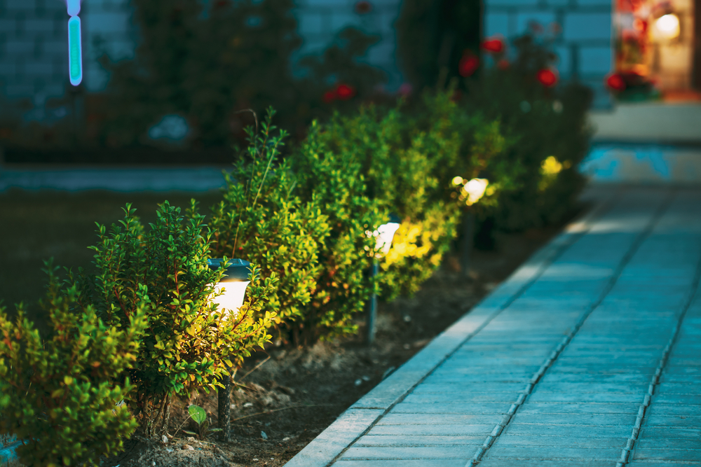 A flagstone path lined with small shrubs and lit by lights lining the path.