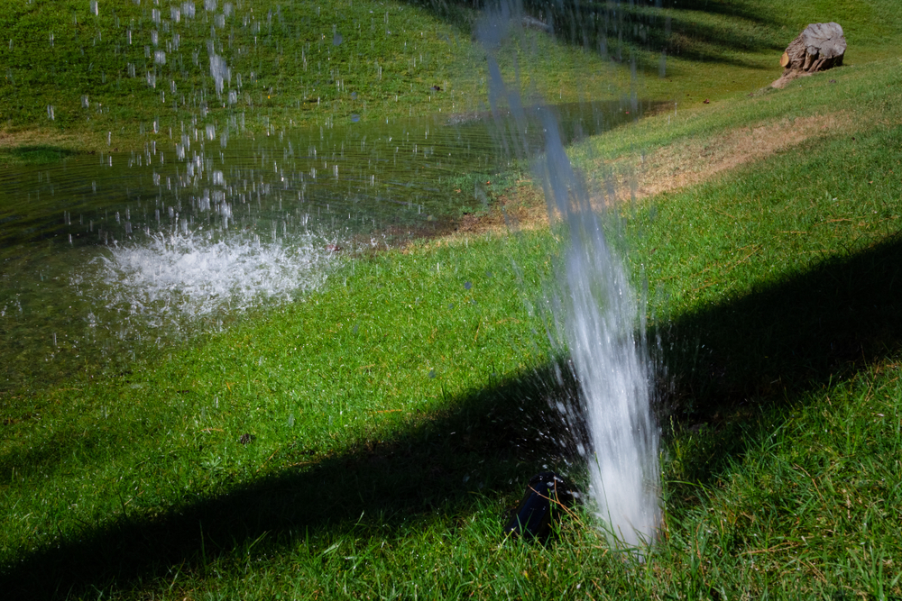 A broken sprinkler head spraying a geyser of water.