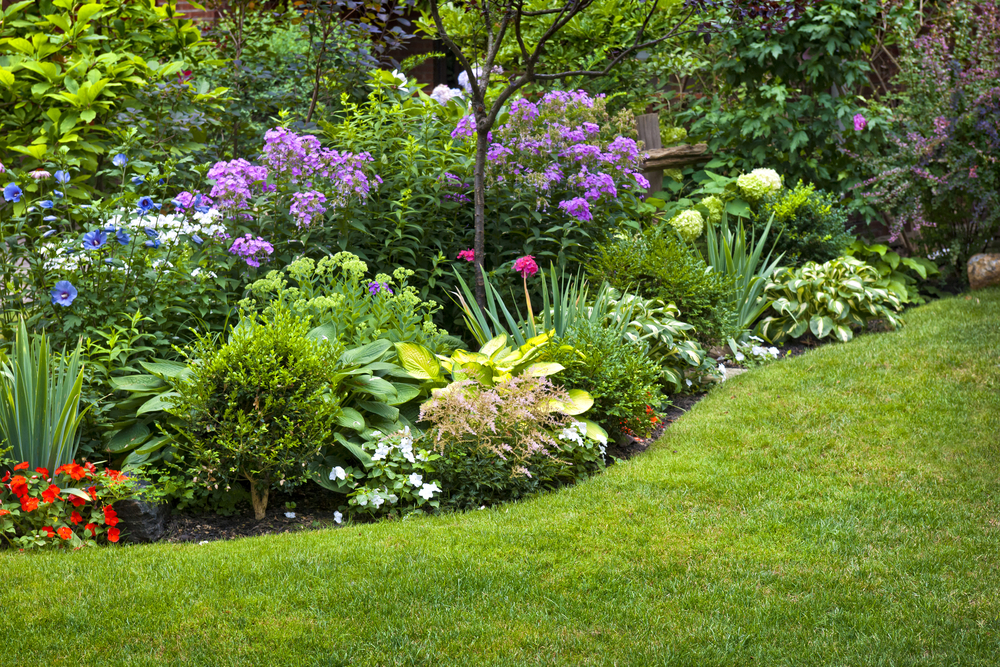 A landscape bed filled with perennials.