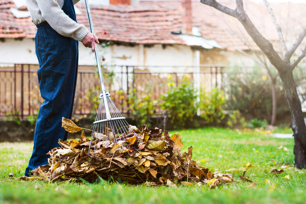 man raking leaves into a pile on a lawn