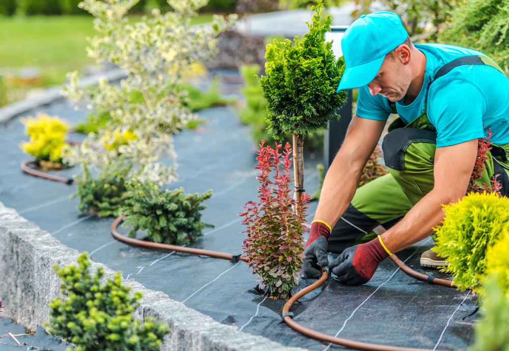 man installing an irrigation system in a flower bed