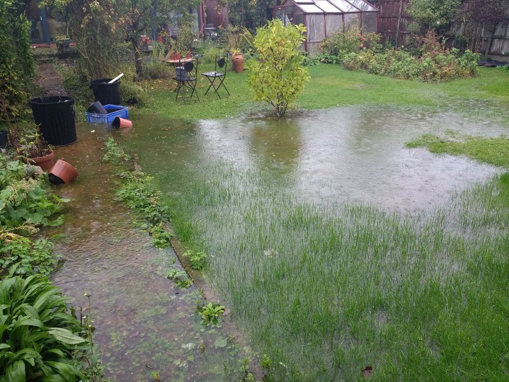 A yard flooded with rain water.