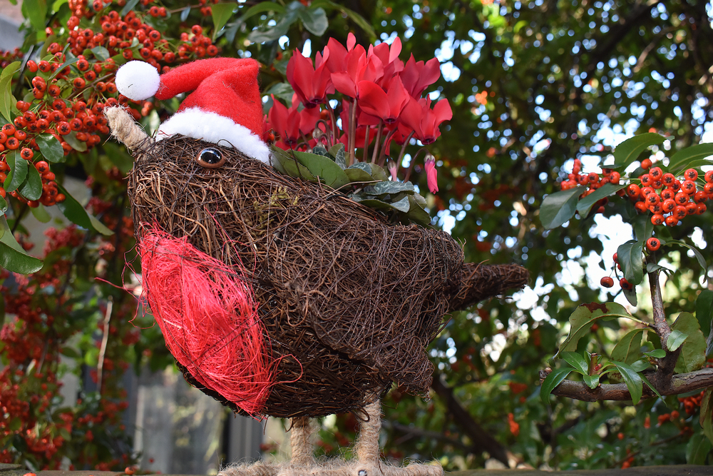 A planter in the shape of a robin with a Santa hot on. Red flowers are in the planter.