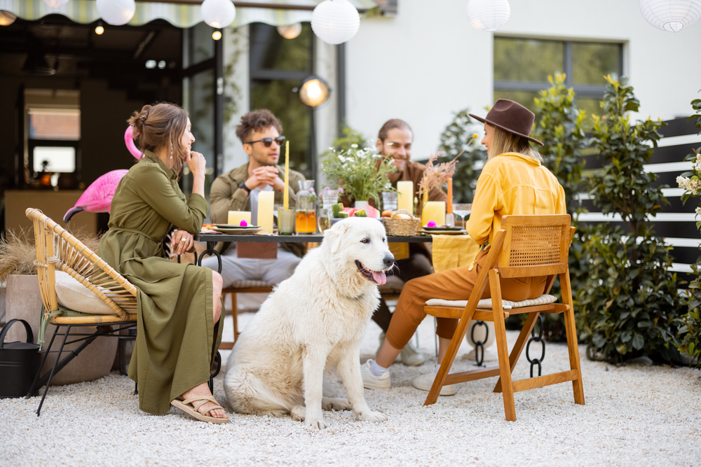 A group of people sitting at a table outside with a great pyrenees dog sitting besides them.