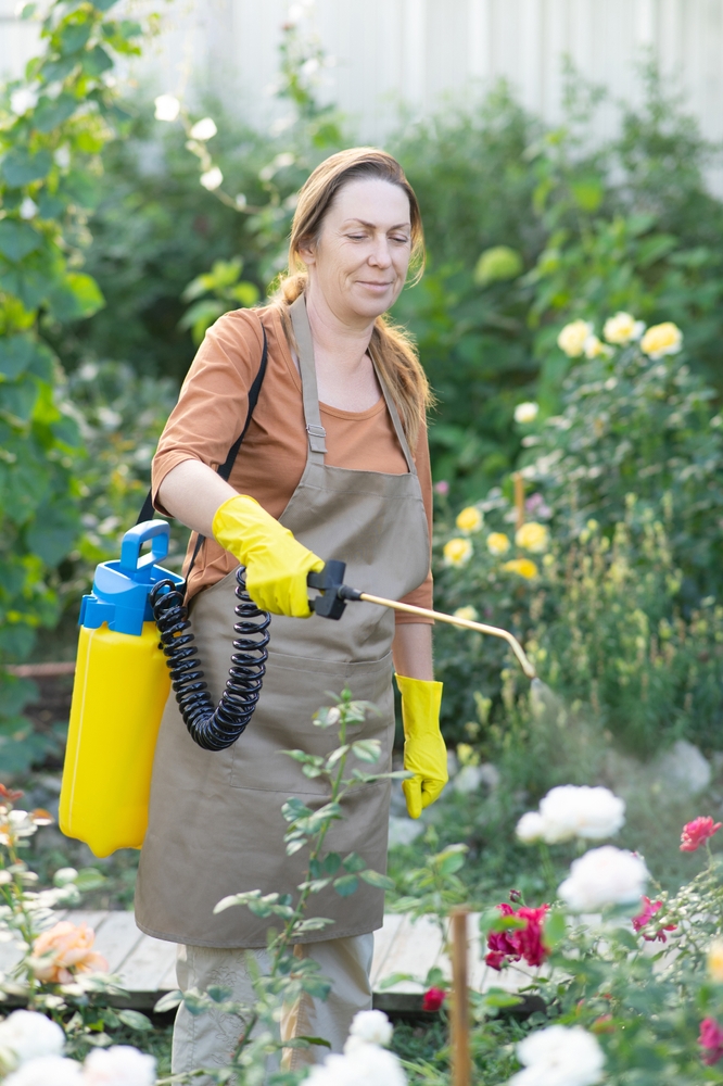 A woman spraying chemicals on a flower bed.