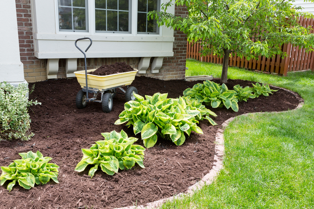 a mulched flower bed
