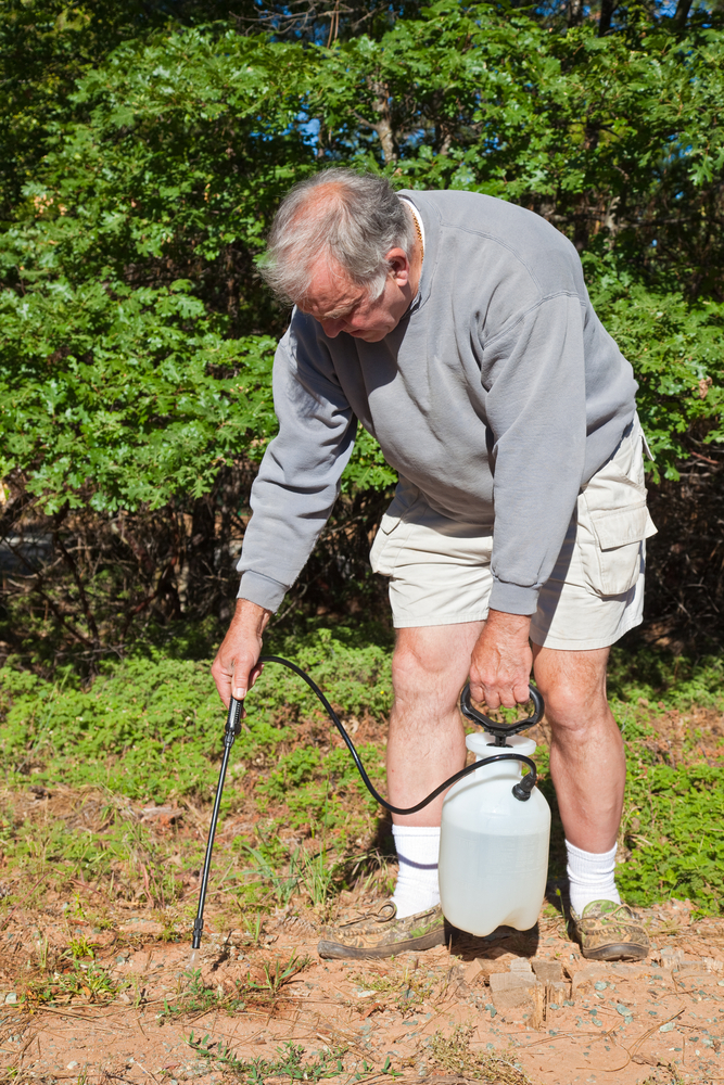 A white male spot spraying a weed and carrying a hand spray unit