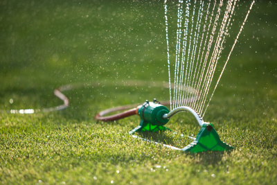an oscillating sprinkler watering a lawn